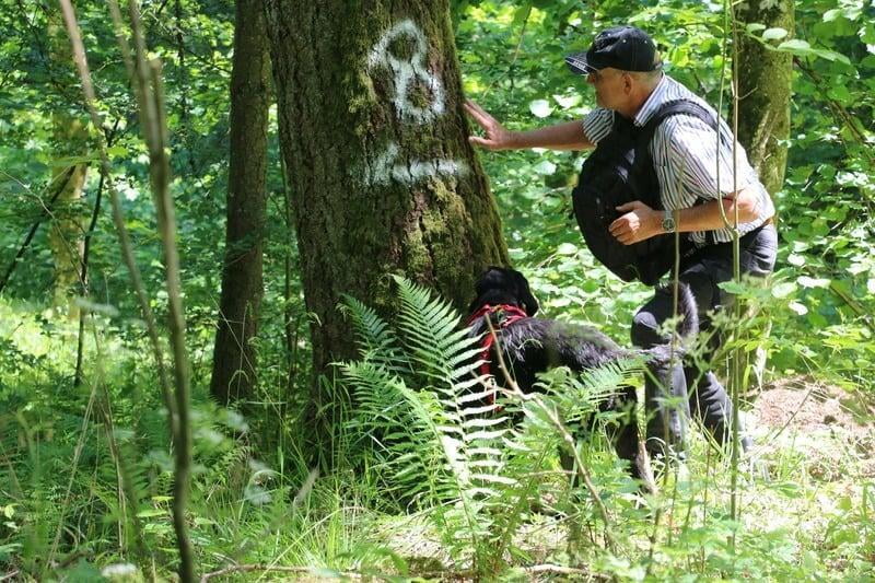 Survival Trail - Abenteuer mit deinem Hund in der Natur